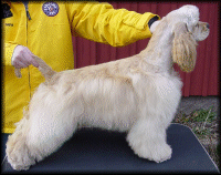 Click for pedigree
